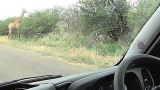 My BLACK GIRLFRIEND acted innocent