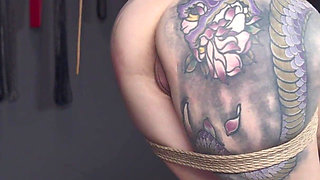 Elise's Pretty Peach Featuring Elise Graves, Knotty Peach