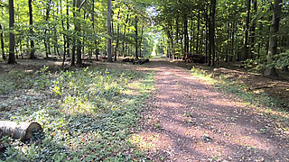 Whipping Your Vagina in the Woods