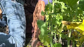 Desi MILF Ritu Outdoor Sex with Young Man in Field - Big Tits Village Romance XXX Video