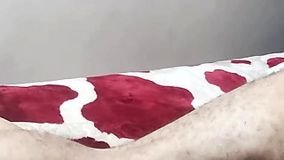 Arab Porn Moroccan