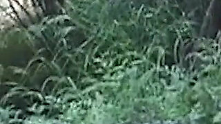 Horny Ebony Lesbians Share Toys and Tongues Outdoors