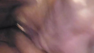 Pussy