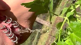 Pissing in My Garden.