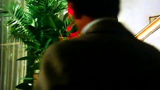 Hardcore double penetration on hot horny brunette