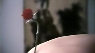 Senta no meu que eu entro na tua