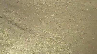 Asian Woman at Bathroom Hottest Video