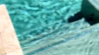 Melztube Fucked By Stranger Near The Pool