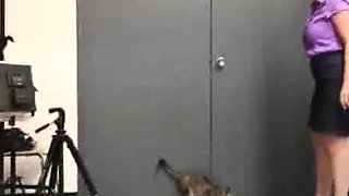 Sexy over 40 milf secretary Kiki Daire loves to make all