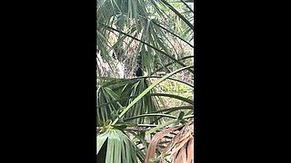 Miss Ellie - Outdoor Trail Peeing