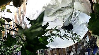 Hidden cam caught masturbating