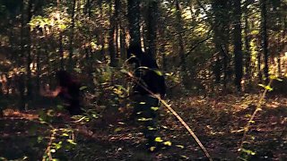 TeensInTheWoods Kirsten Lee bdsm nympho