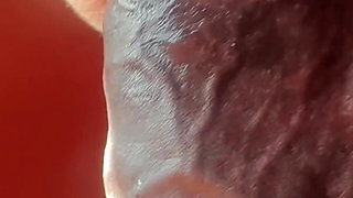BBW Real Horny Stepmom Sucked My BBC with Her Super Hot Lips and Tits All Over My Thighs