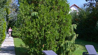 Eva Barbie Gets Rough BBC Anal Outdoors
