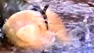 slut his tall blonde fetish flashing ass on live webcam