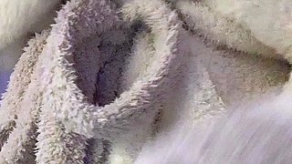 Carolina big ass amateur webcam teen anal dildo masturbation