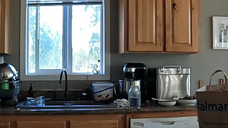 Nude Day in My Life Vlog Cooking, Chores, Workout & More