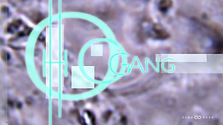 HARDWERK Hologang with Lucy Huxley 2