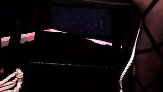 Littlebunnyb - Catwoman Bound And Vibed
