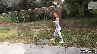 Sneaky Tony's pornstar trailer