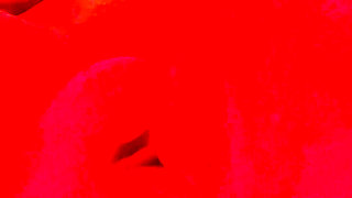 Use Me