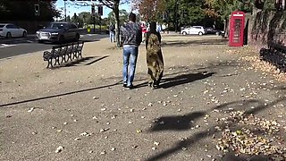 Stacked Arab slut in fishnets gets fucked in the woods