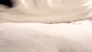 Blonde beauty explores passionate cuckold desire with massive BBC