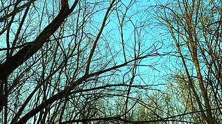 Beautiful Mysterious Stranger Called to the Forest to Hard Fuck (pov)