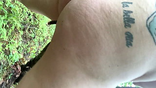 Walk In The Woods