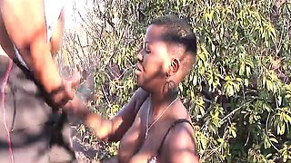 busty african babe picked up for orgy