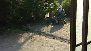 Japanese Love Story 135