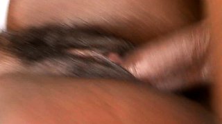Stallion Clapping Booty