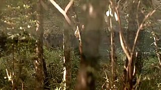 Aitana SÃ¡nchez-GijÃ³n,Virginie Ledoyen in Backwoods (2006)