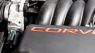 Corvette Revving Gets Her Motor Hot
