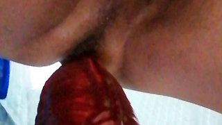 Mi dildo nuebo