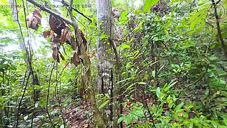 Thai Teen Girls 4K: Amateur Asian Babes Walking in Forest Pick Mushrooms Together