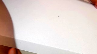Threesome in the kitchen with my best friend and her