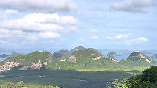 This View
